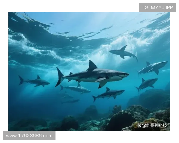 金鲨银鲨:海洋深处的生存之道与巨型鲨鱼的生态习性详解