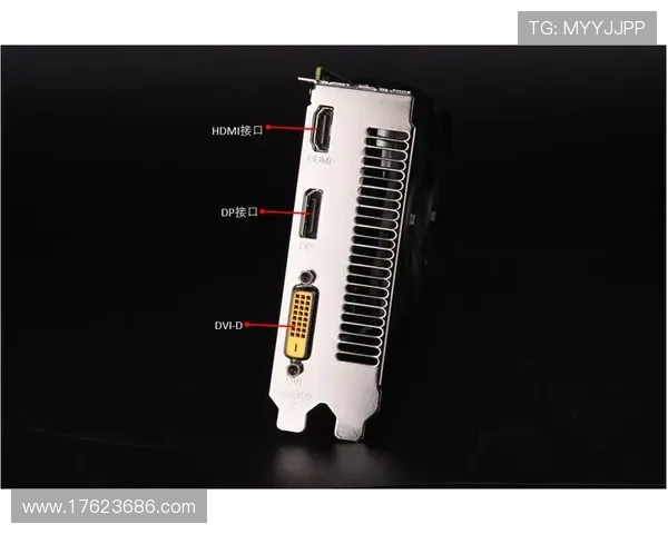 pa电子电脑版下载