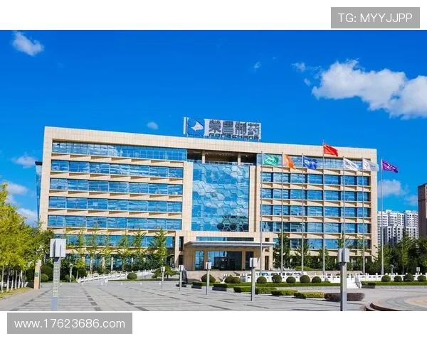 K8凯发电竞的合作伙伴与品牌背书分析提升平台的专业性与可信度