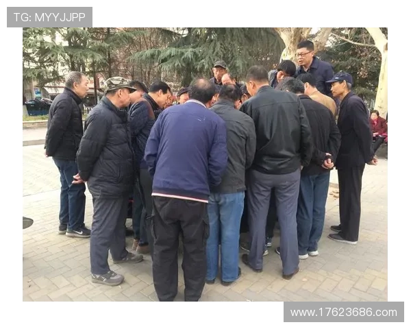 打牌九的技巧与策略全面解析助你在牌局中占据优势